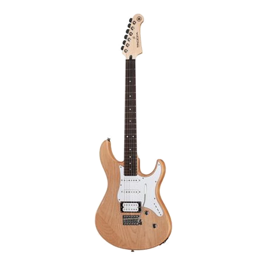 Guitares